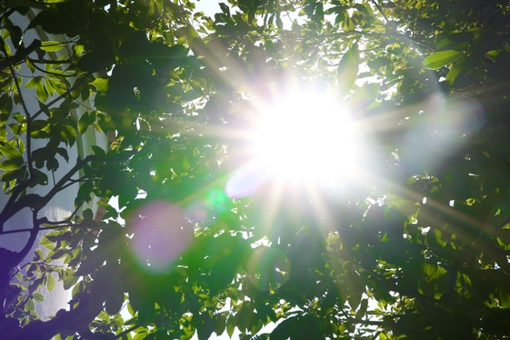 %e9%a2%a8%e6%99%af%e2%9e%80